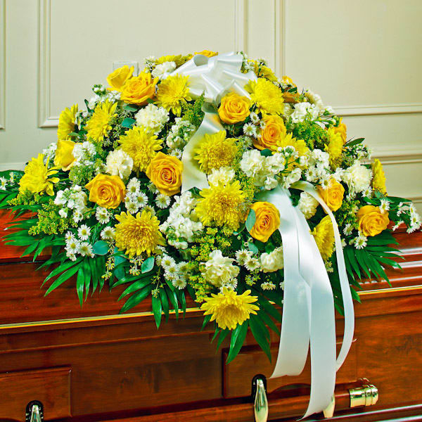 3381pd_800x800.jpg