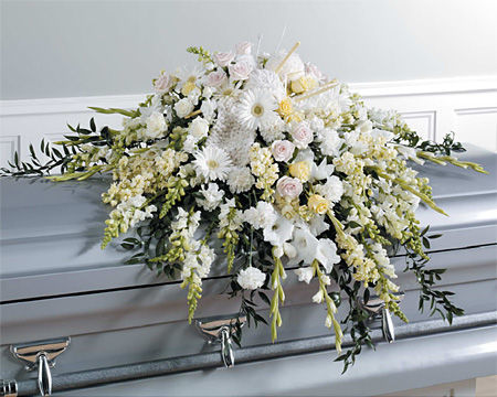 6804pd_800x800.jpg