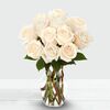 12 White Roses