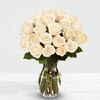 24 White Roses